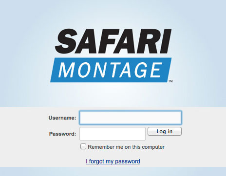 safari montage single sign on